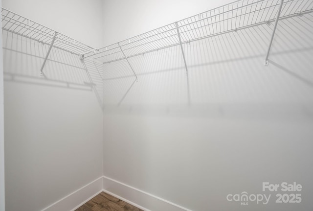 spacious closet with wood-type flooring