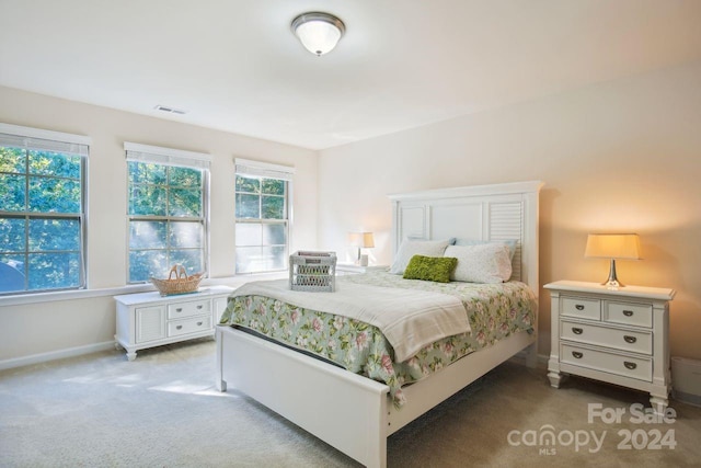 carpeted bedroom featuring multiple windows