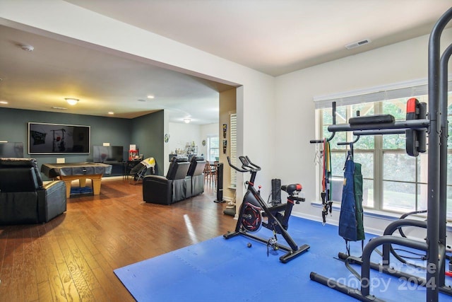 exercise area featuring plenty of natural light and hardwood / wood-style flooring