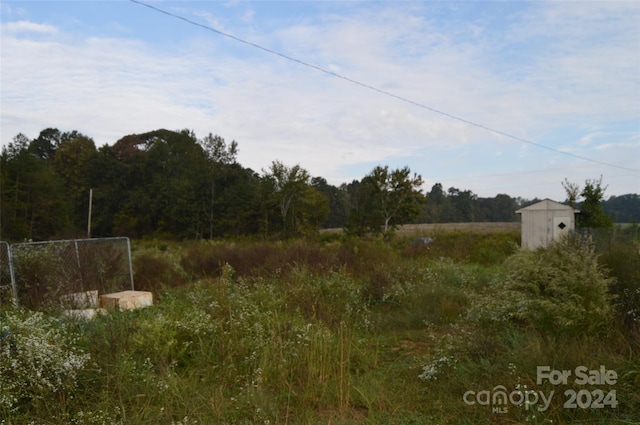 view of local wilderness