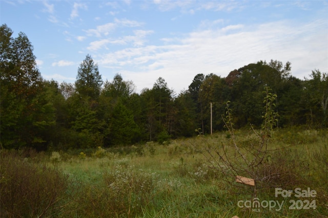 view of local wilderness