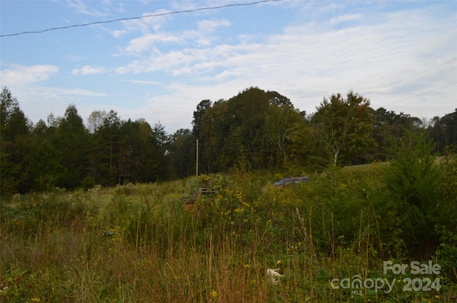 view of local wilderness