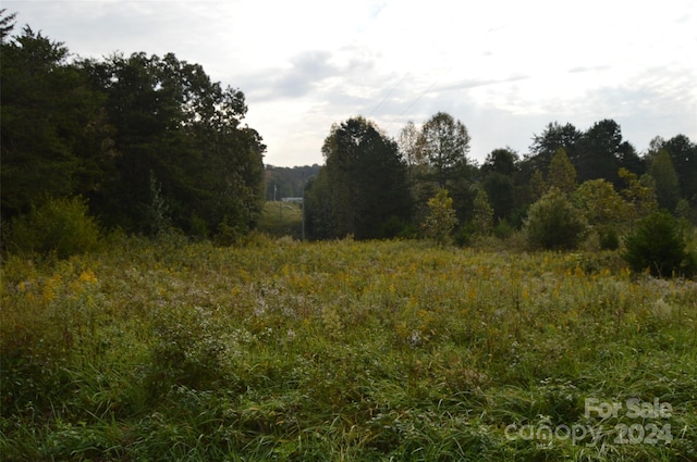 view of local wilderness