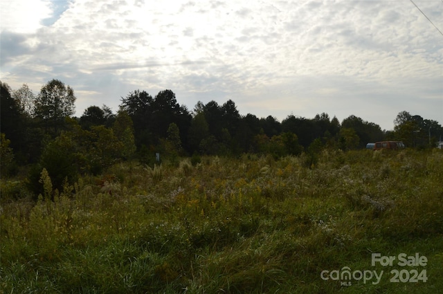 view of local wilderness