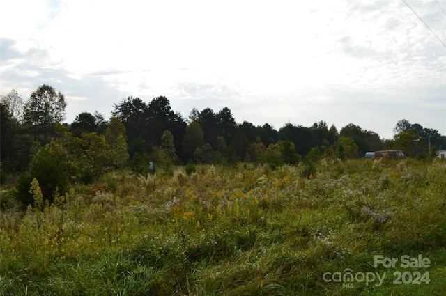 view of landscape featuring a rural view