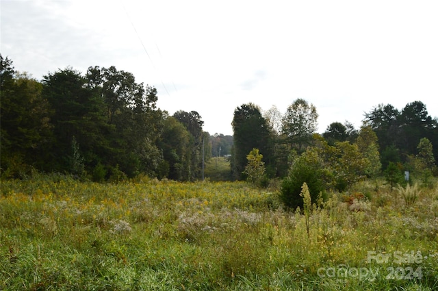 view of local wilderness