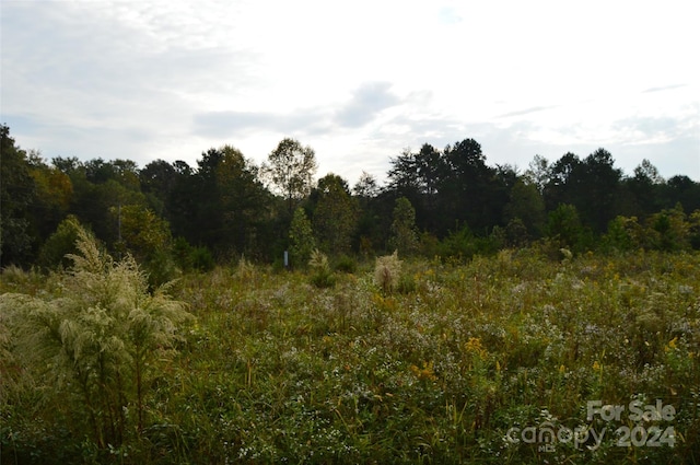 view of nature