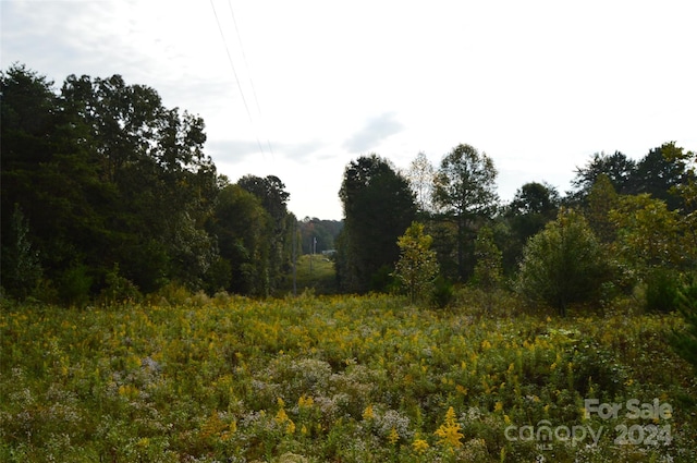 view of local wilderness