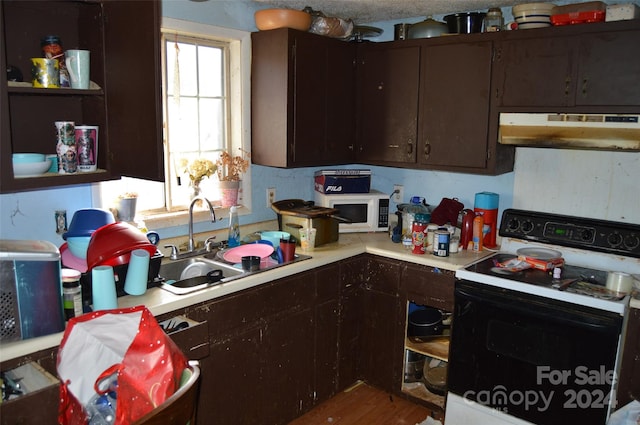 kitchen featuring white appliances, dark brown cabinetry, and sink