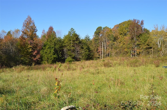 view of local wilderness