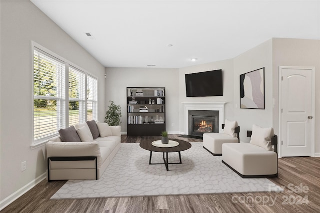 living room with wood-type flooring