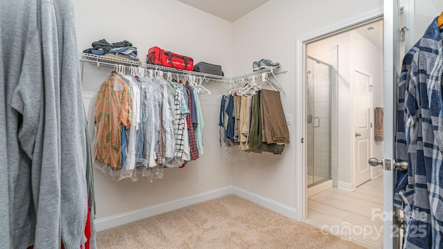 spacious closet with light carpet