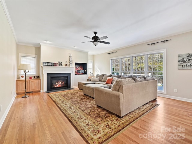 living room featuring crown molding, ceiling fan, and light wood-type flooring