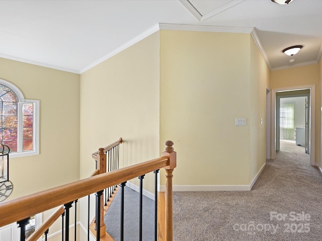 hall featuring light carpet and ornamental molding