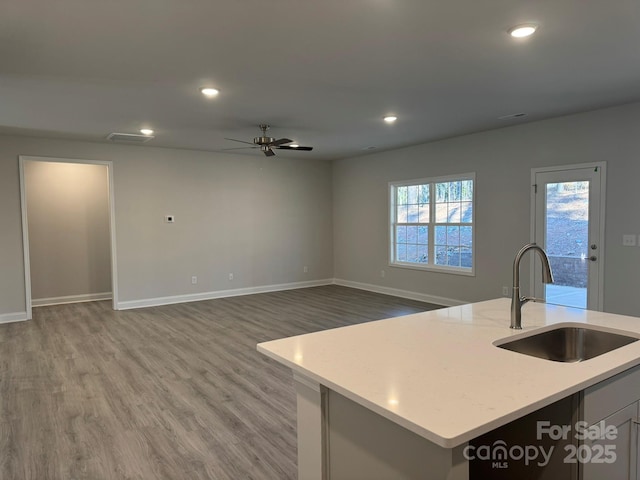 kitchen with ceiling fan, wood-type flooring, sink, and a center island with sink