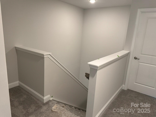 stairs with carpet flooring