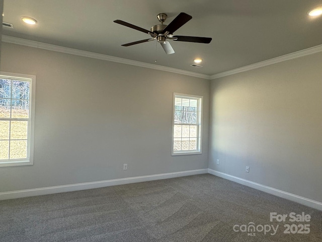 carpeted empty room featuring ornamental molding and plenty of natural light