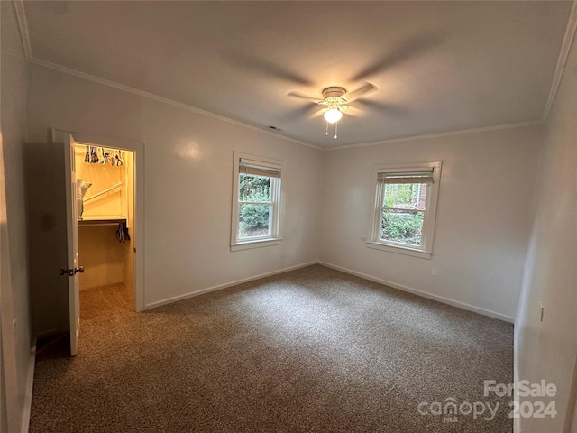 carpeted spare room featuring ornamental molding, ceiling fan, and a wealth of natural light