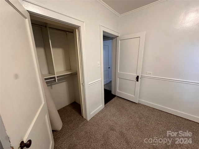 interior space with a closet, ornamental molding, and carpet