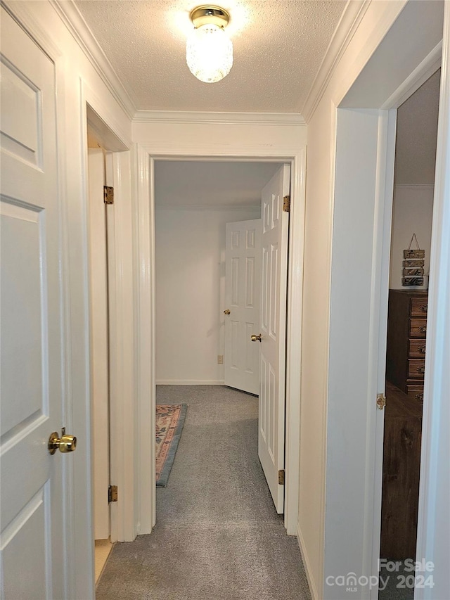 hall featuring ornamental molding, carpet, and a textured ceiling