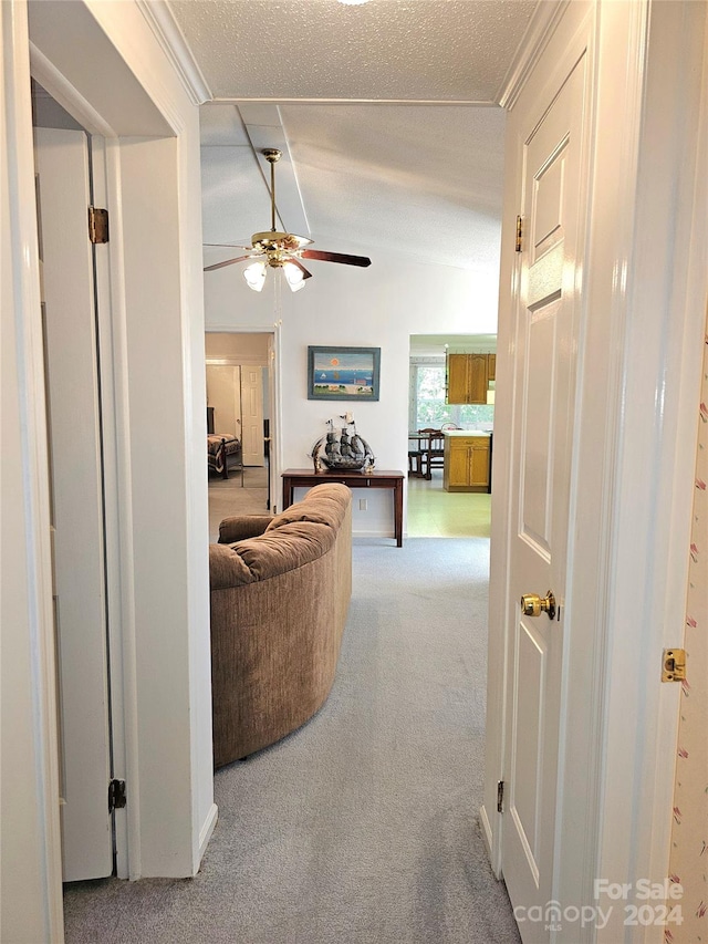 hallway with lofted ceiling, a textured ceiling, and carpet flooring