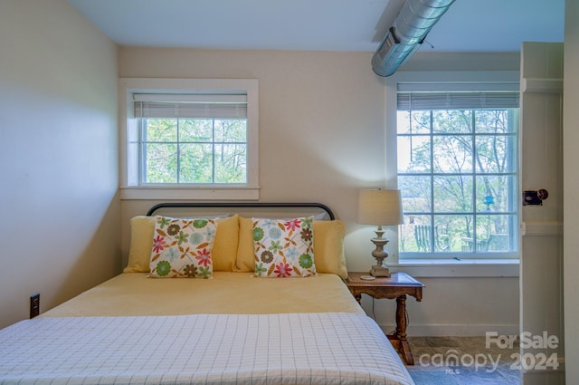 bedroom with multiple windows