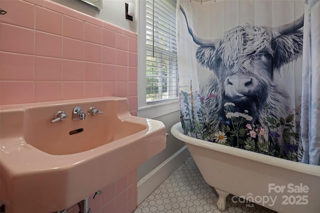 139 Neely Rd, Brevard, NC 28712 - full bathroom featuring a freestanding bath, baseboards, and a sink