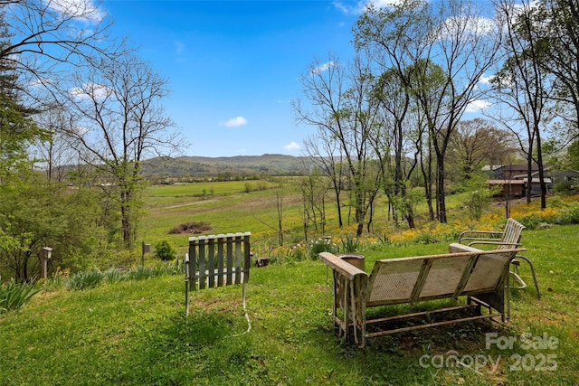 139 Neely Rd, Brevard, NC 28712 - view of yard