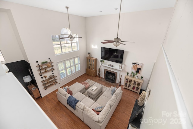 living room featuring a high ceiling, hardwood / wood-style floors, and ceiling fan