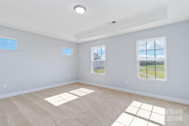 empty room featuring a healthy amount of sunlight and light colored carpet