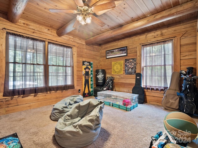 rec room with wood walls and beam ceiling