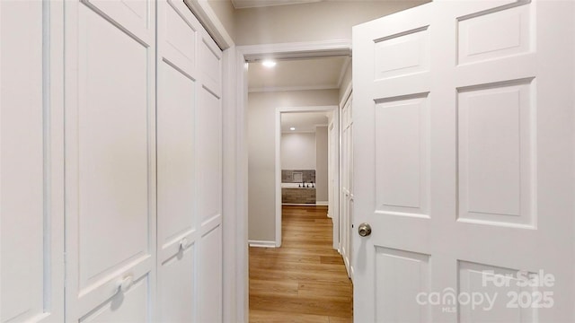 hallway with light wood-style floors