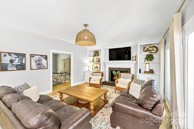 living room featuring hardwood / wood-style flooring and built in features