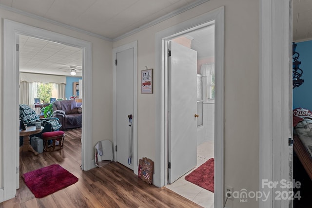 hallway with crown molding and wood-type flooring