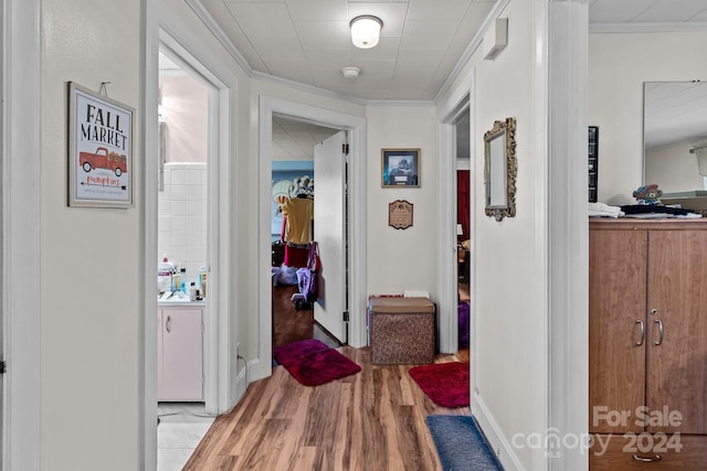 hallway featuring light hardwood / wood-style floors and crown molding