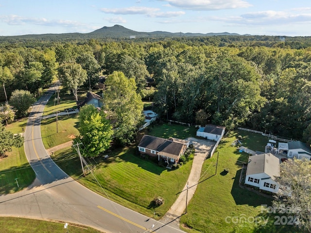 bird's eye view with a mountain view