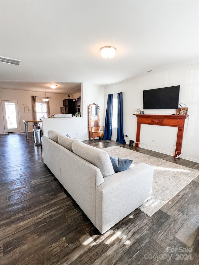 living room featuring dark wood-type flooring