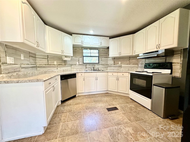 kitchen featuring tasteful backsplash, electric range, stainless steel dishwasher, a sink, and under cabinet range hood