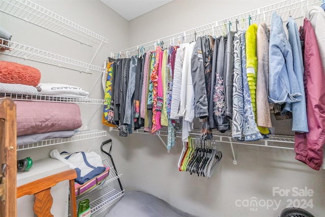 view of spacious closet