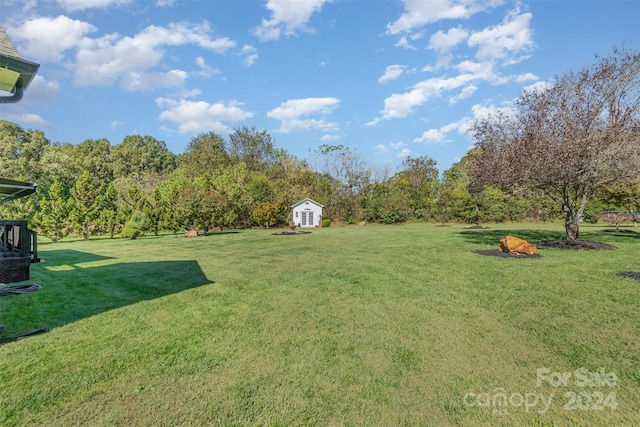 view of yard with an outdoor fire pit and a storage unit