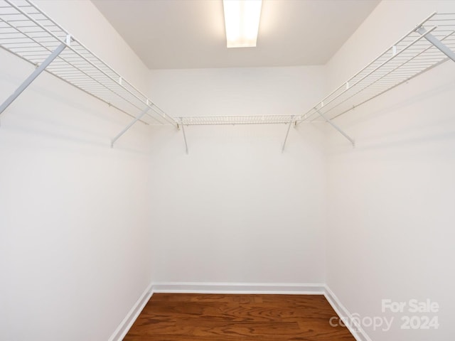 spacious closet with hardwood / wood-style floors