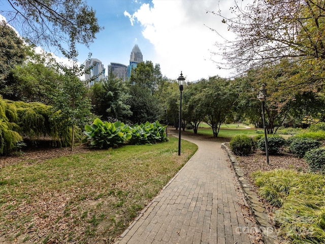 view of property's community with a yard