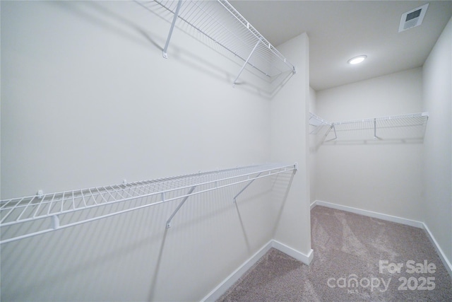 spacious closet with light colored carpet