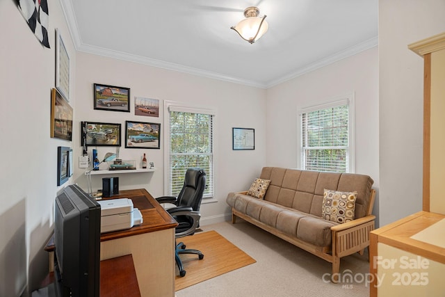 office area featuring carpet flooring and ornamental molding