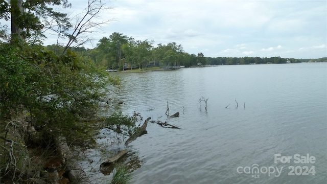 Listing photo 2 for TBD Ivy Link Rd, Leesville SC 29070