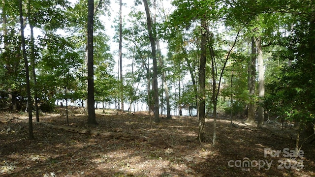 Listing photo 3 for TBD Ivy Link Rd, Leesville SC 29070