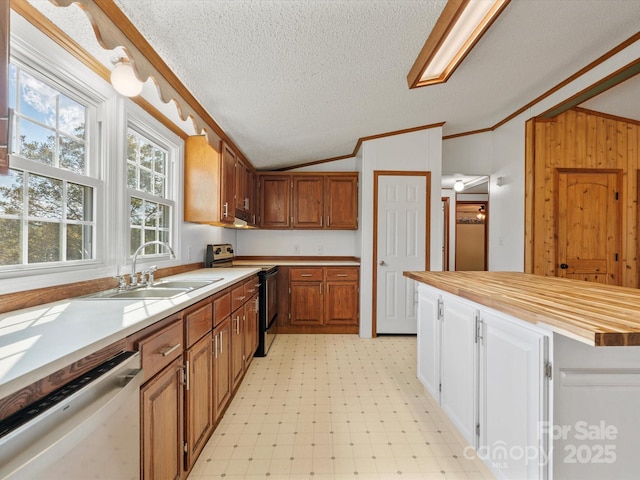 kitchen featuring light floors, dishwasher, vaulted ceiling, stainless steel electric range, and a sink