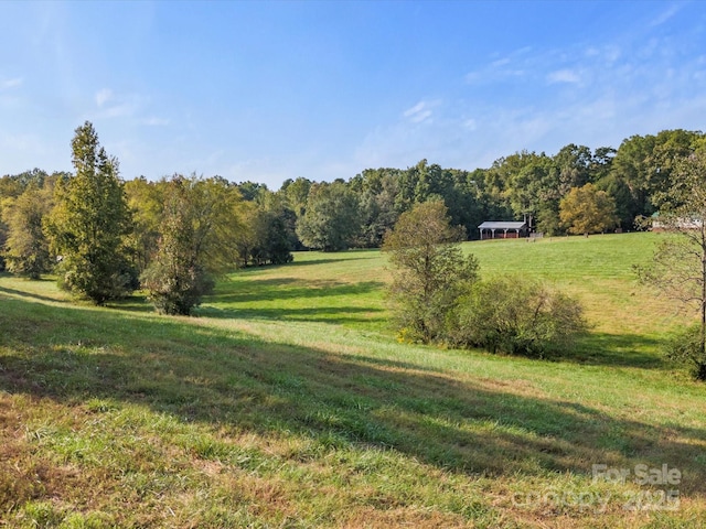 view of yard with a rural view and a view of trees