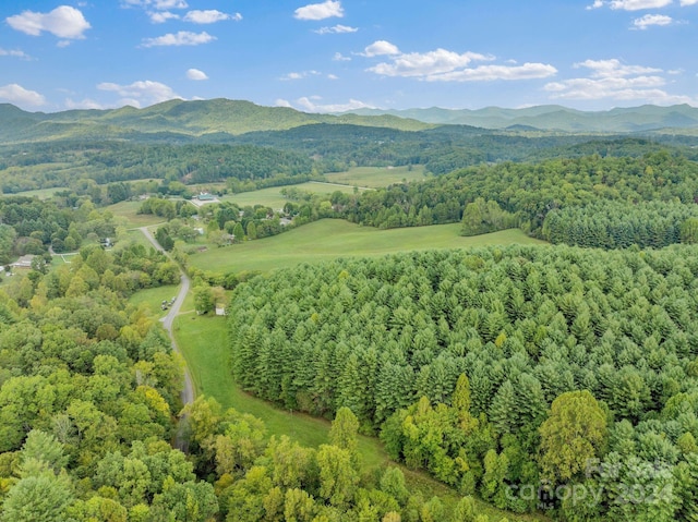 drone / aerial view with a mountain view