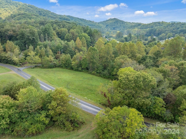 birds eye view of property with a mountain view